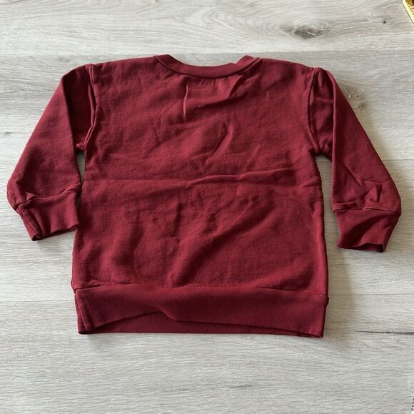 Ford and Wyatt X Little Bipsy Bubby Sweatshirt Holly Berry 18-24 M NWT IN PKG - Picture 8 of 9